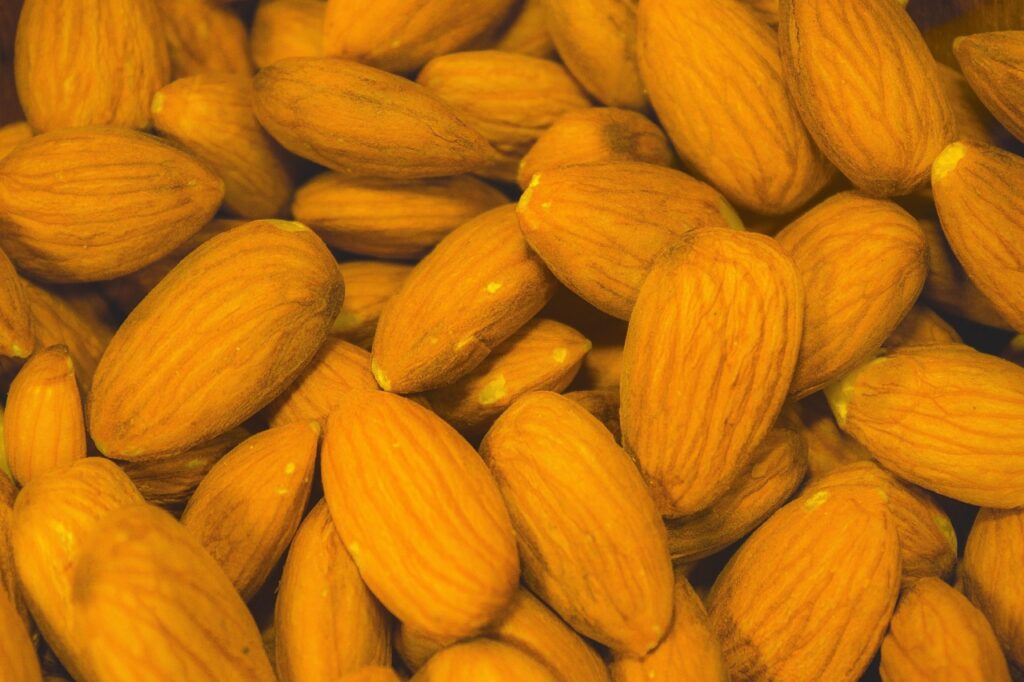 Healthy almonds rich in protein and nutrients